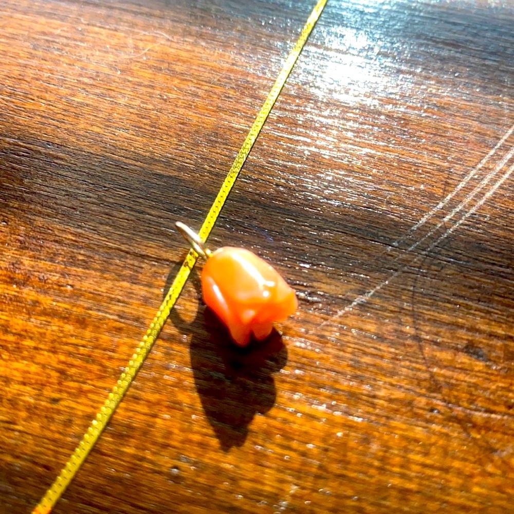 14k Gold & Coral Pendant